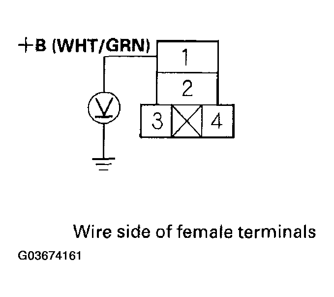 G03674161