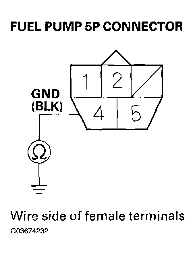 G03674232