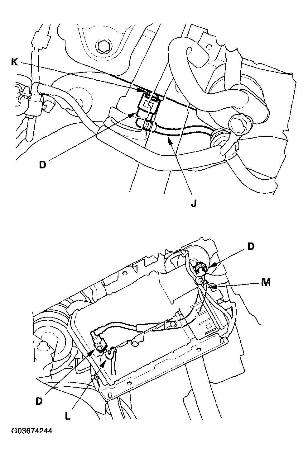 G03674244