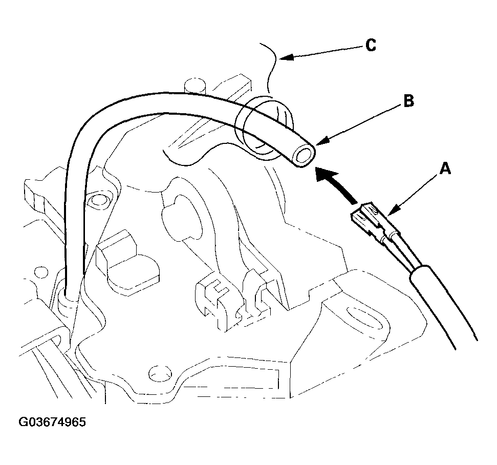 G03674965