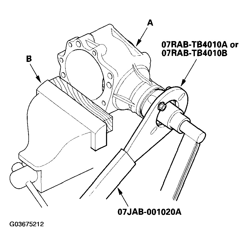 G03675212