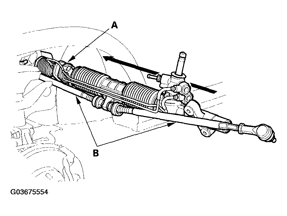 G03675554