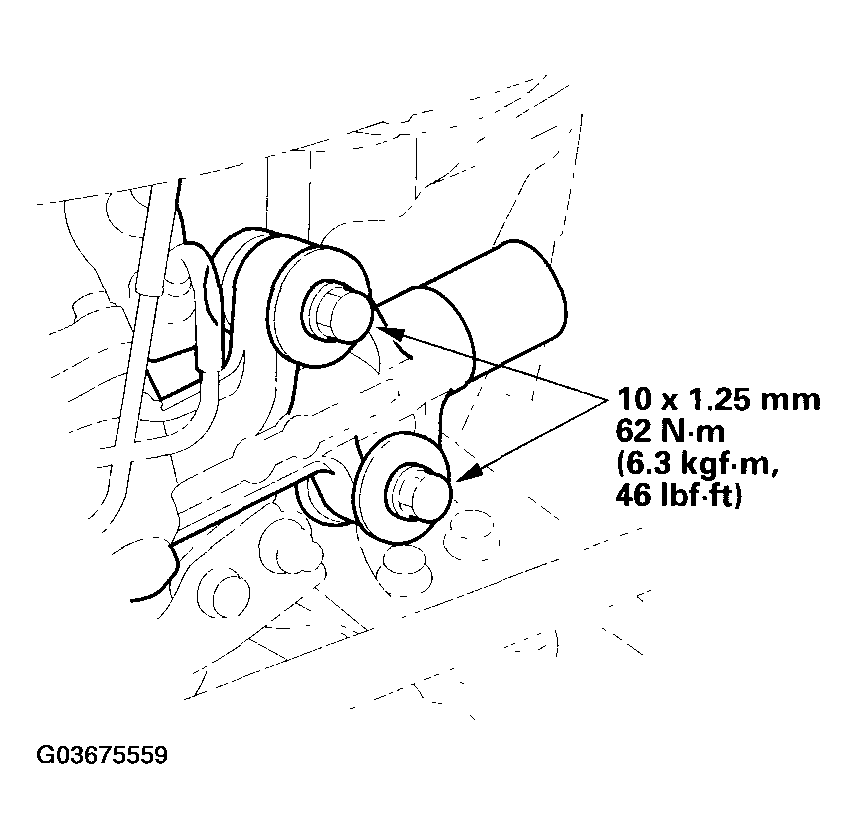 G03675559