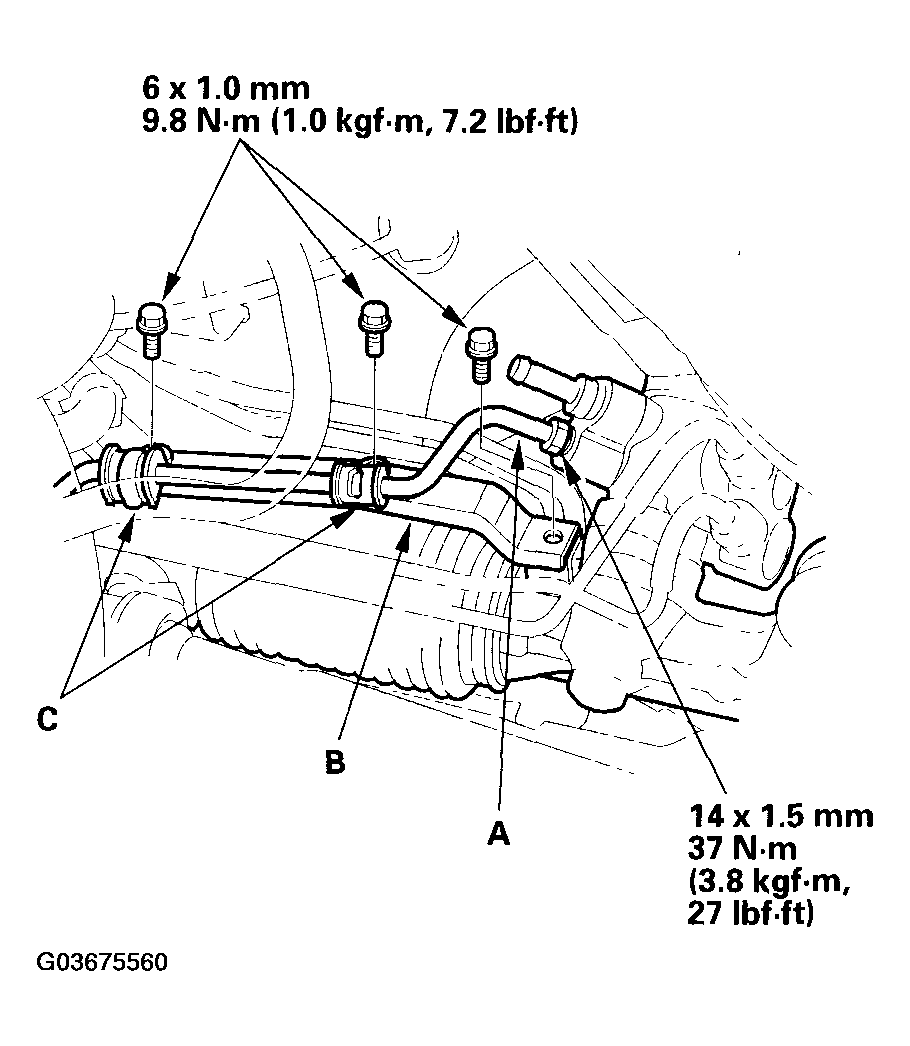 G03675560