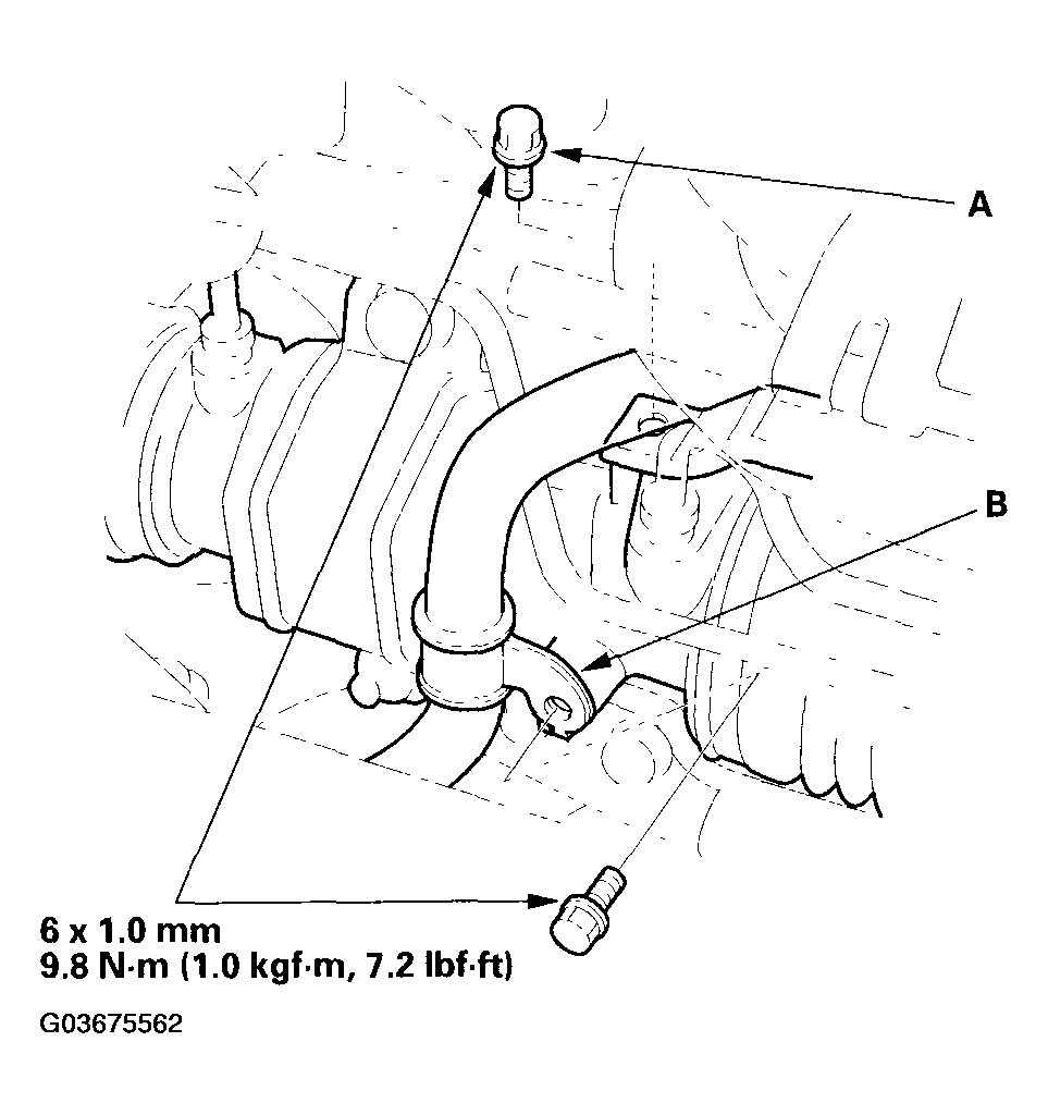 G03675562