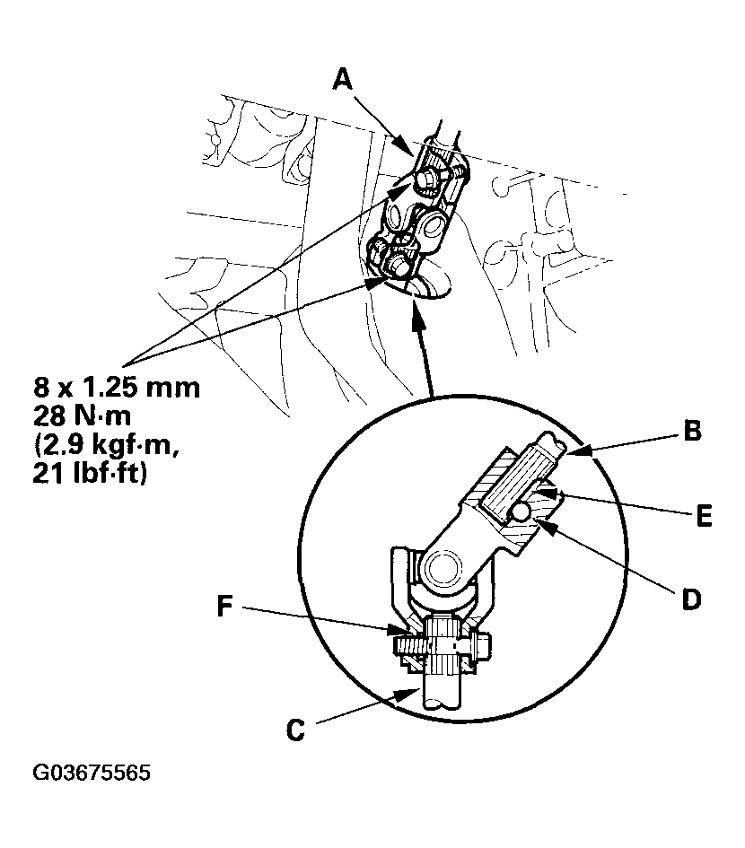 G03675565