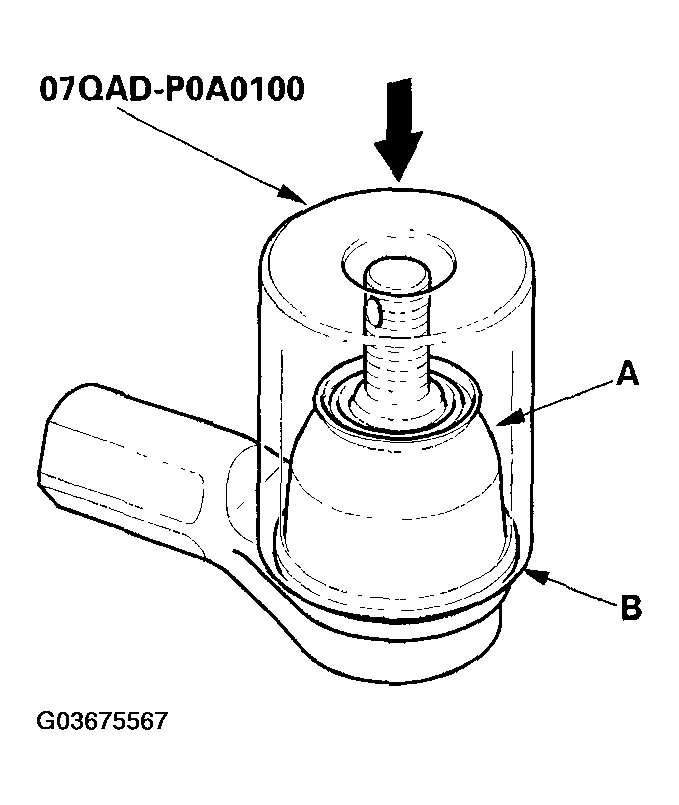 G03675567