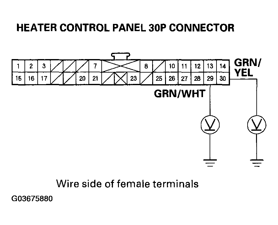 G03675880