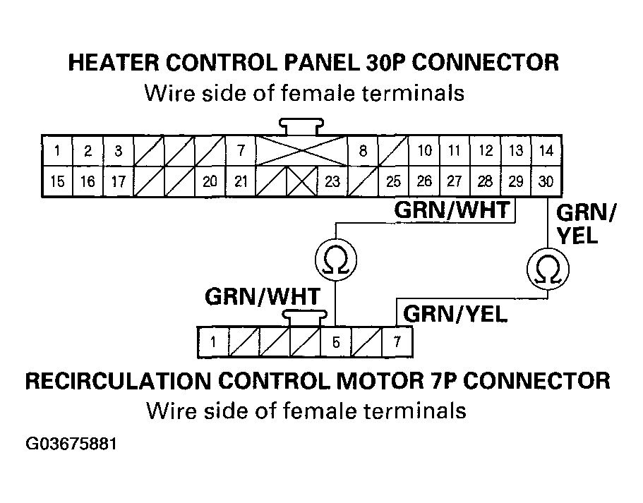 G03675881