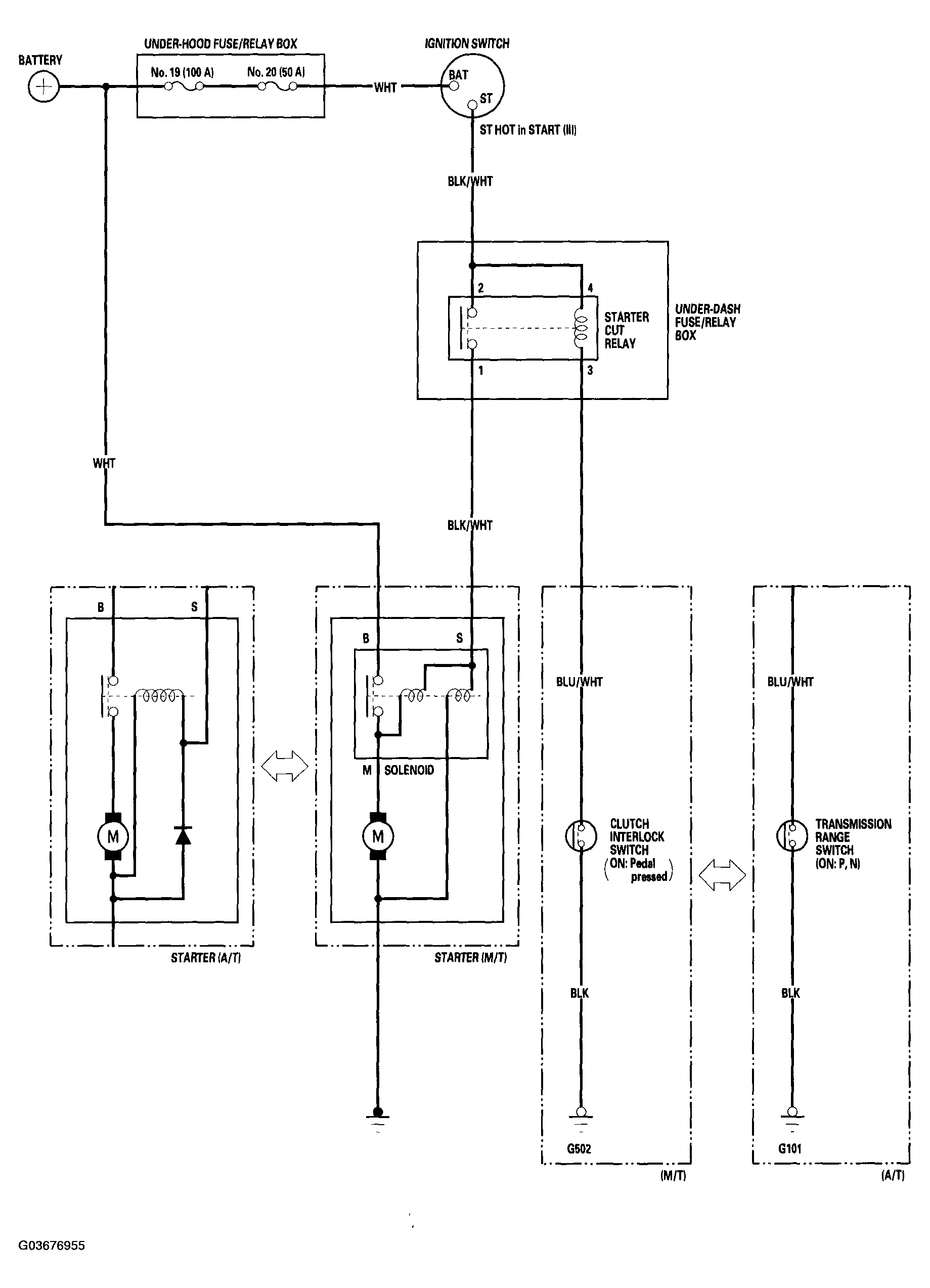 G03676955