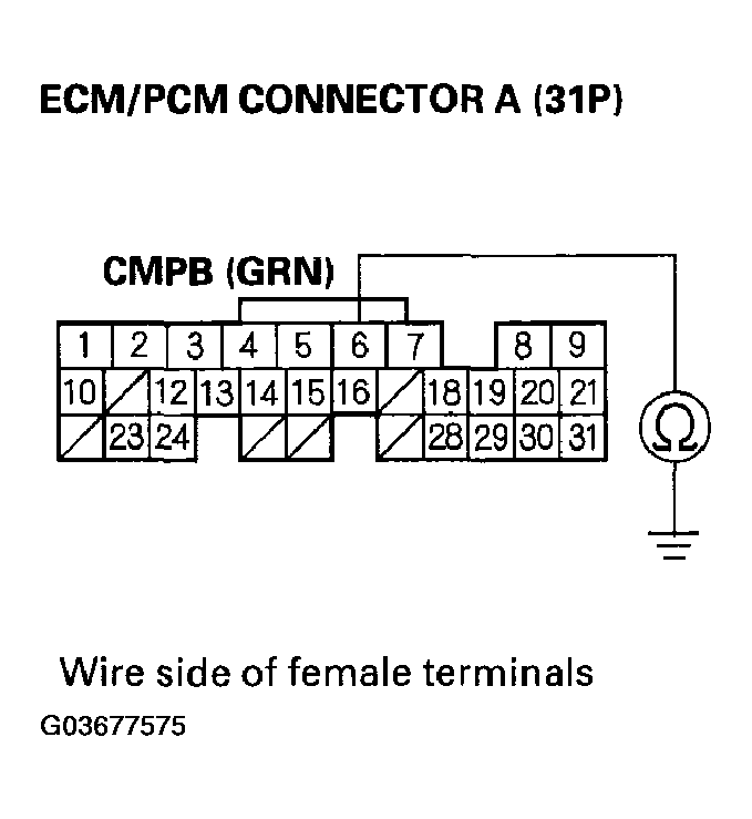 G03677575