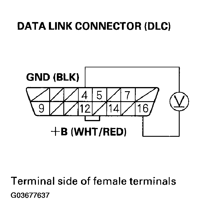 G03677637