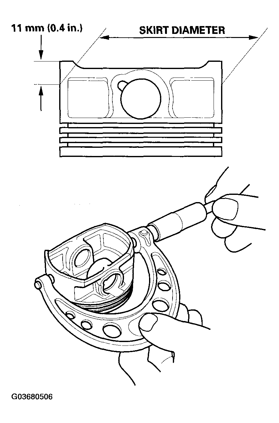 G03680506