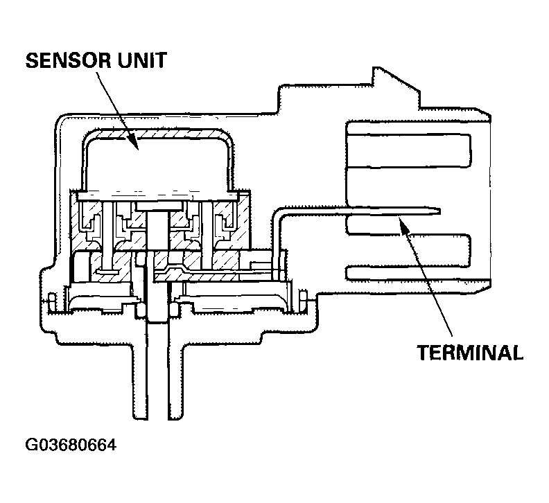 G03680664