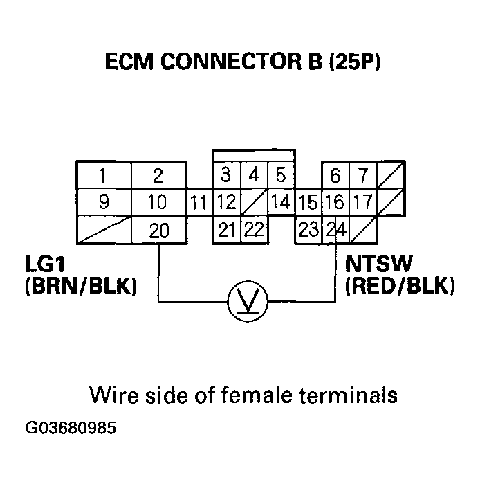 G03680985