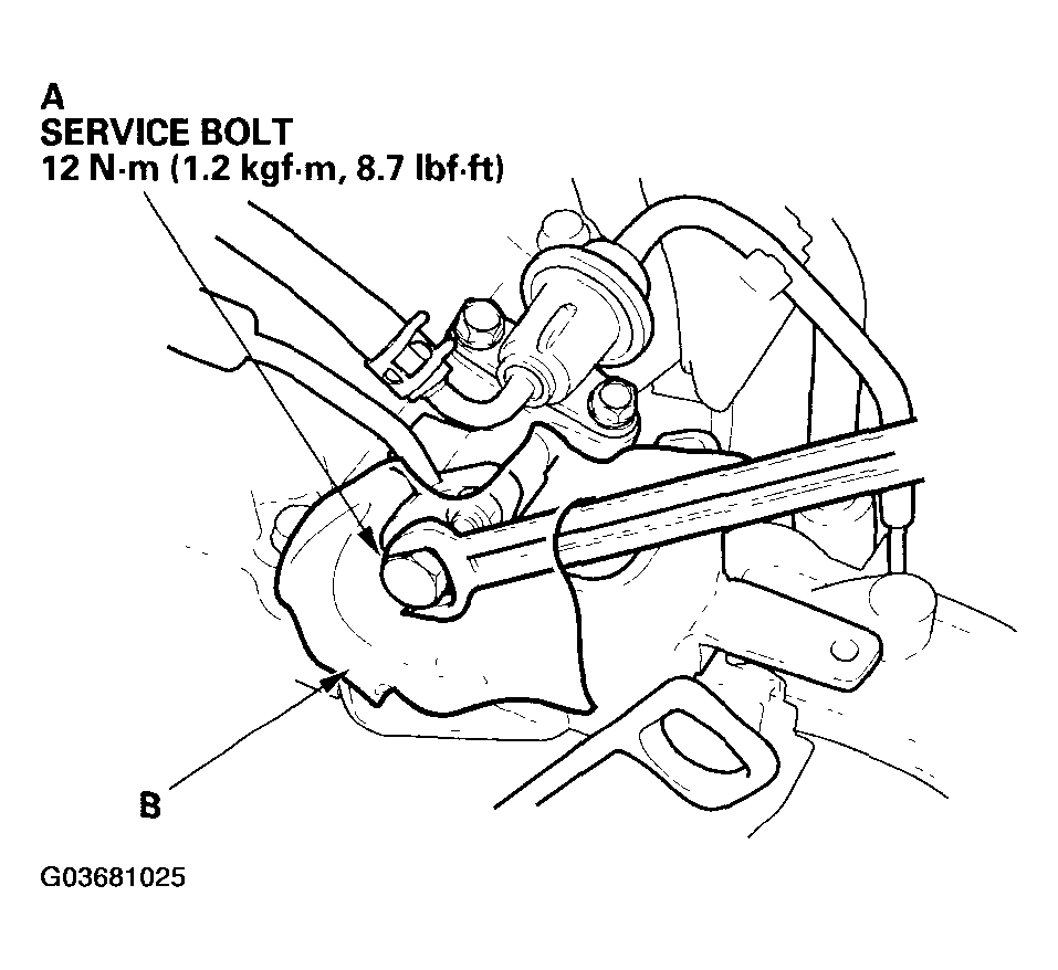 G03681025
