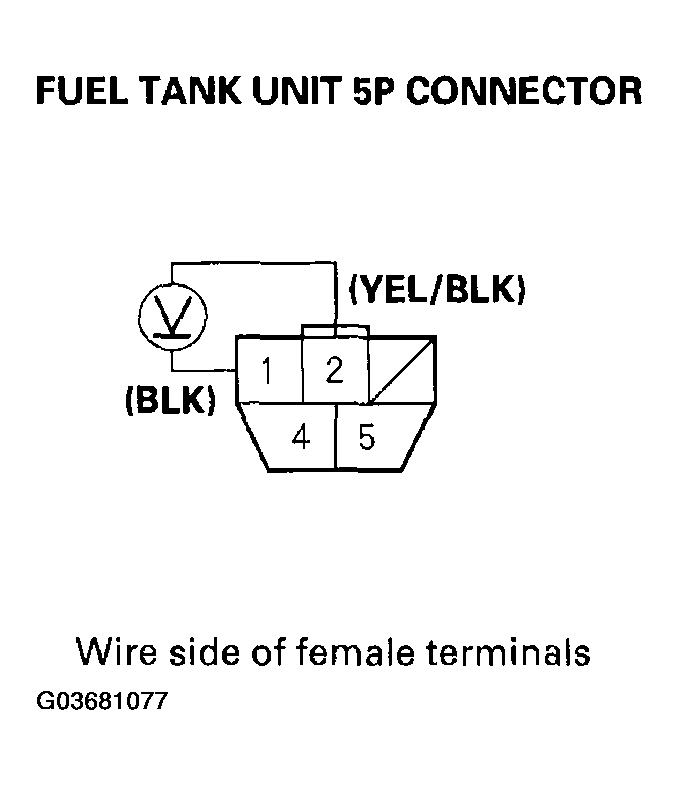 G03681077
