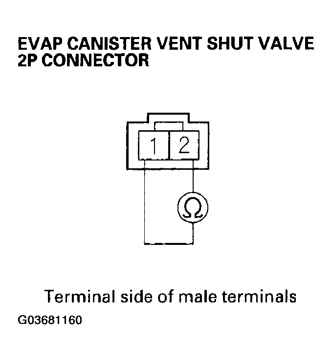 G03681160