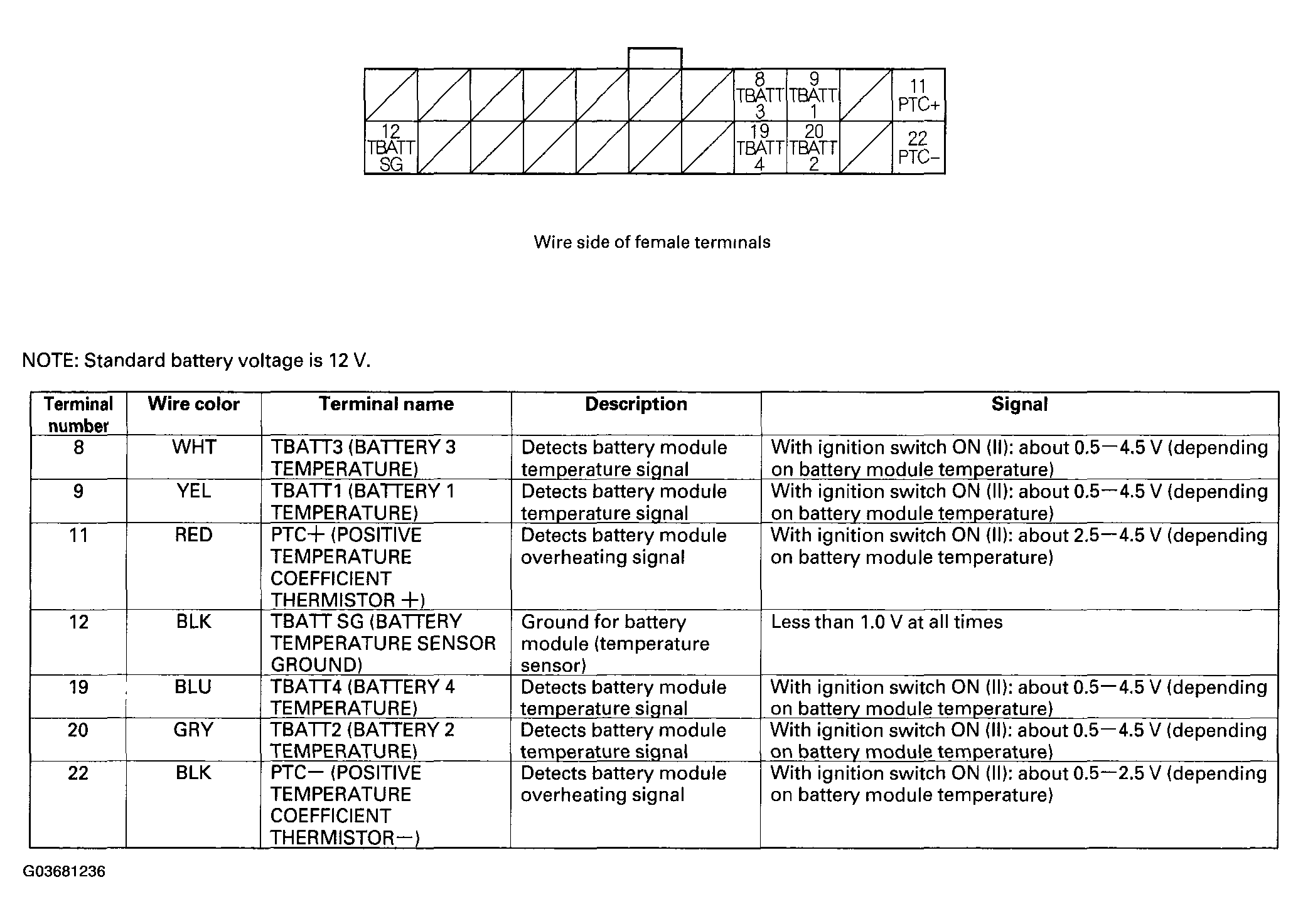 G03681236