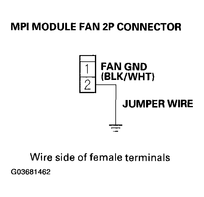 G03681462