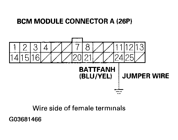 G03681466