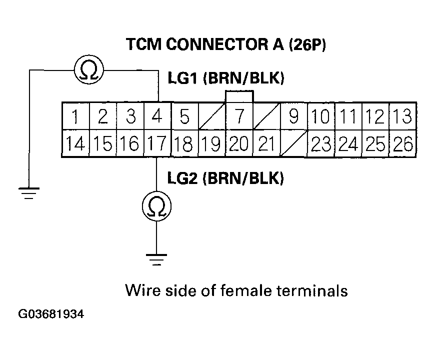 G03681934
