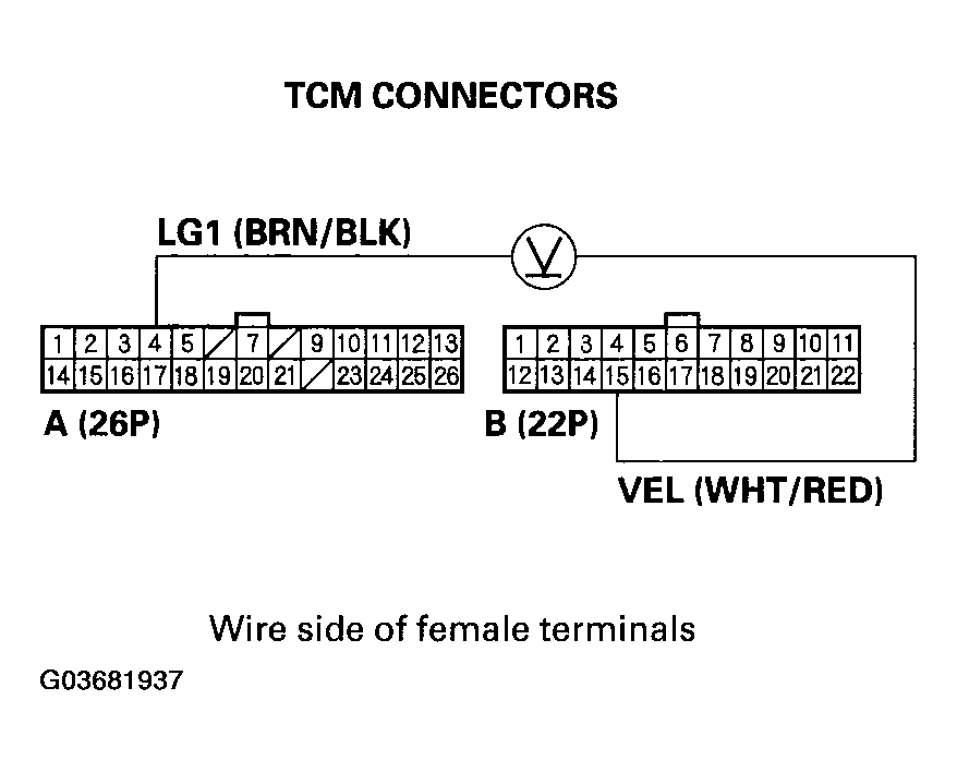 G03681937