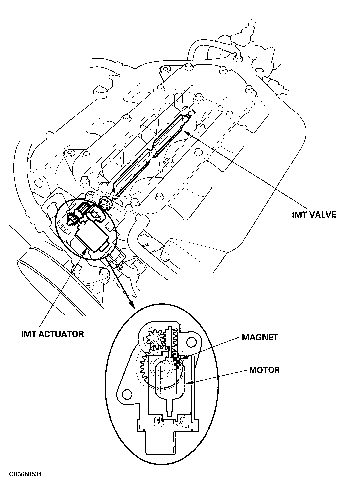 G03688534