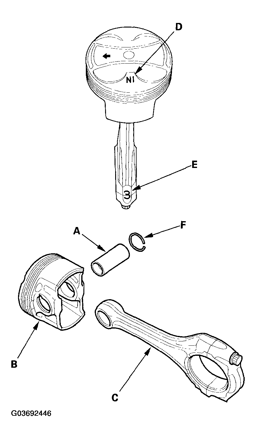 G03692446