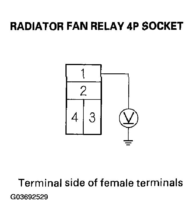 G03692529