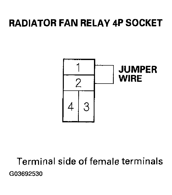 G03692530