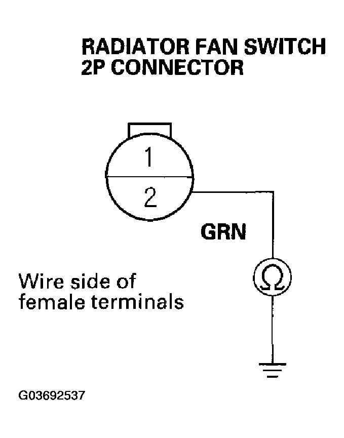 G03692537