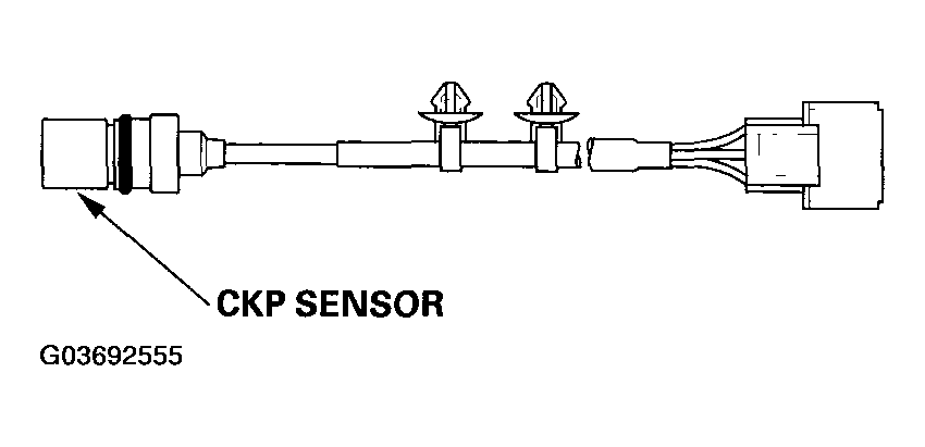 G03692555