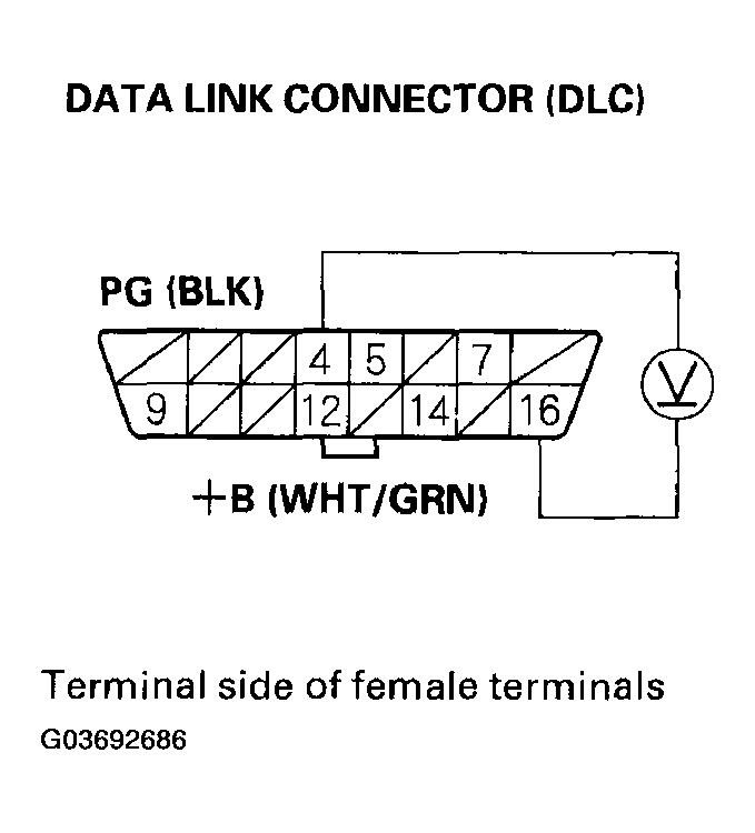 G03692686