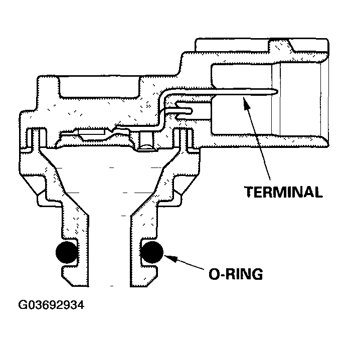 G03692934