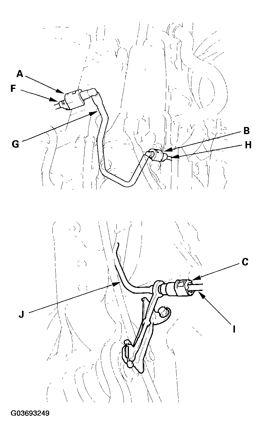 G03693249
