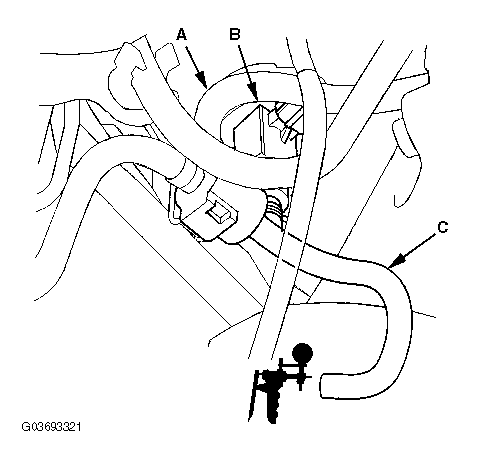 G03693321