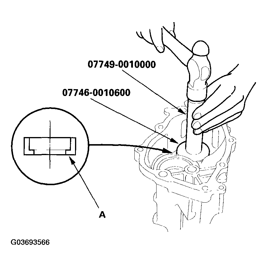 G03693566