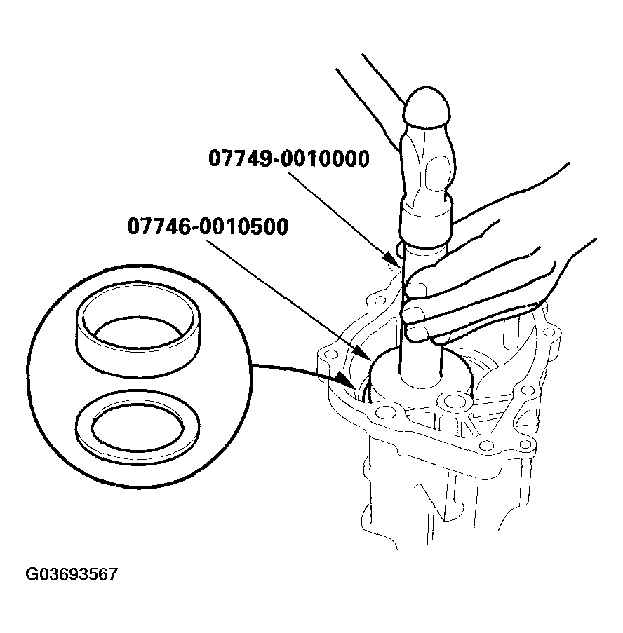 G03693567