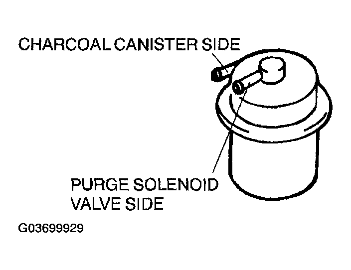 G03699929