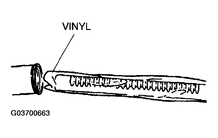 G03700663