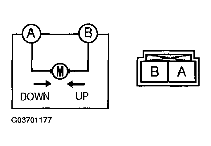 G03701177