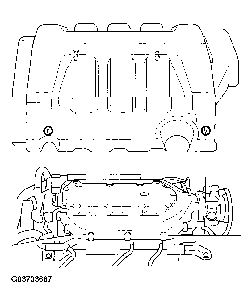 G03703667