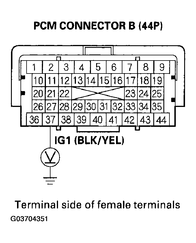 G03704351