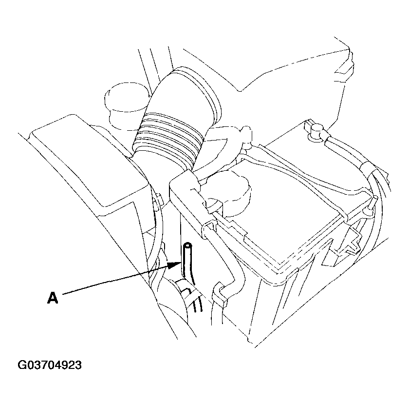 G03704923