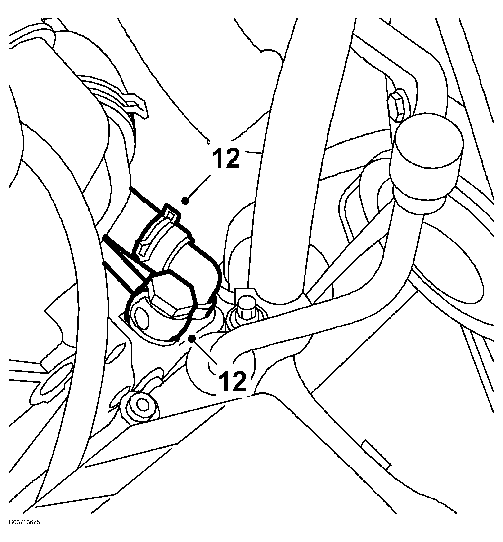G03713675