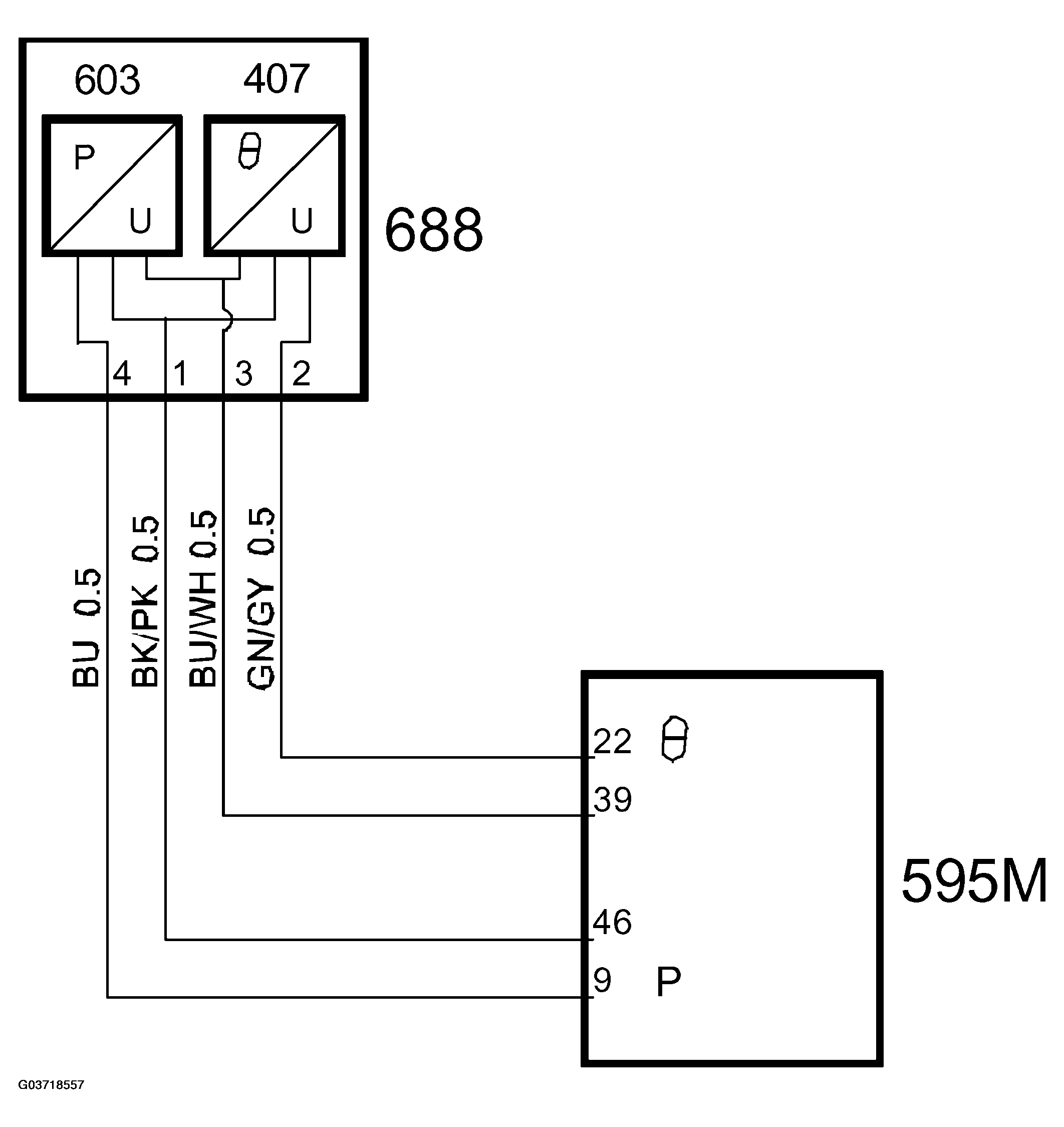 G03718557