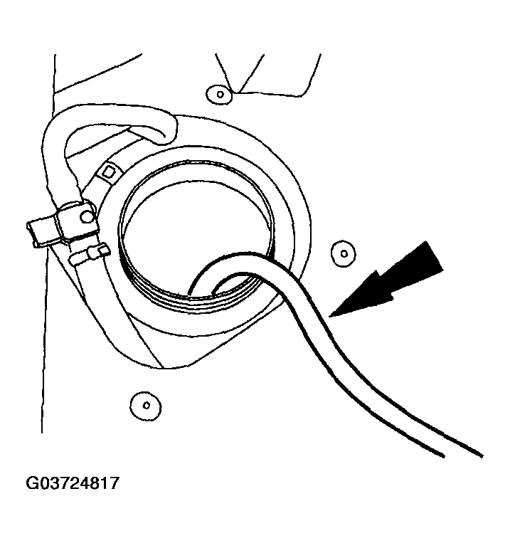 G03724817