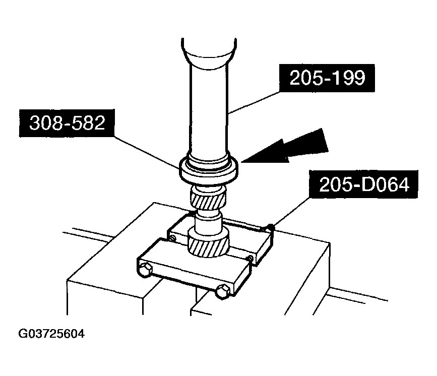 G03725604