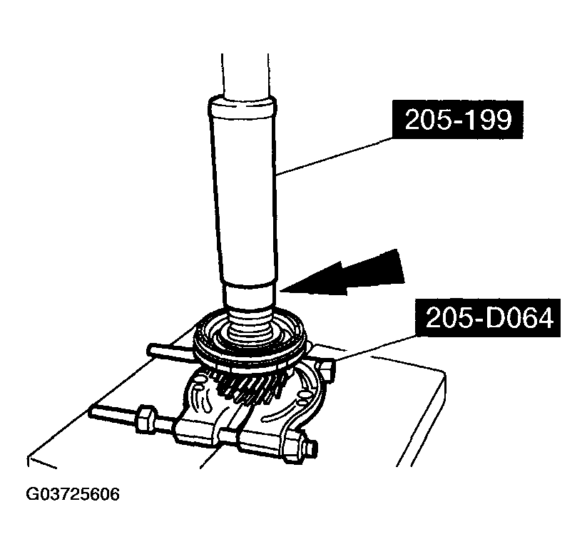 G03725606